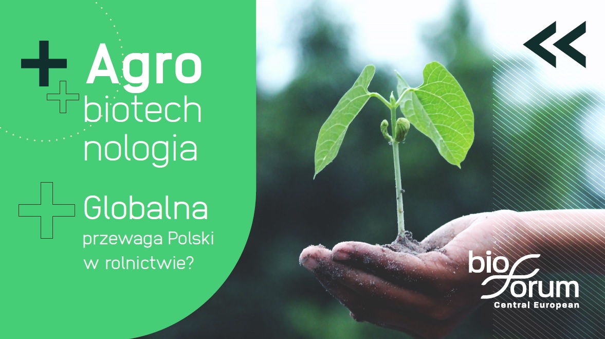 Agrobiotechnologia. Globalna przewaga Polski w rolnictwie?